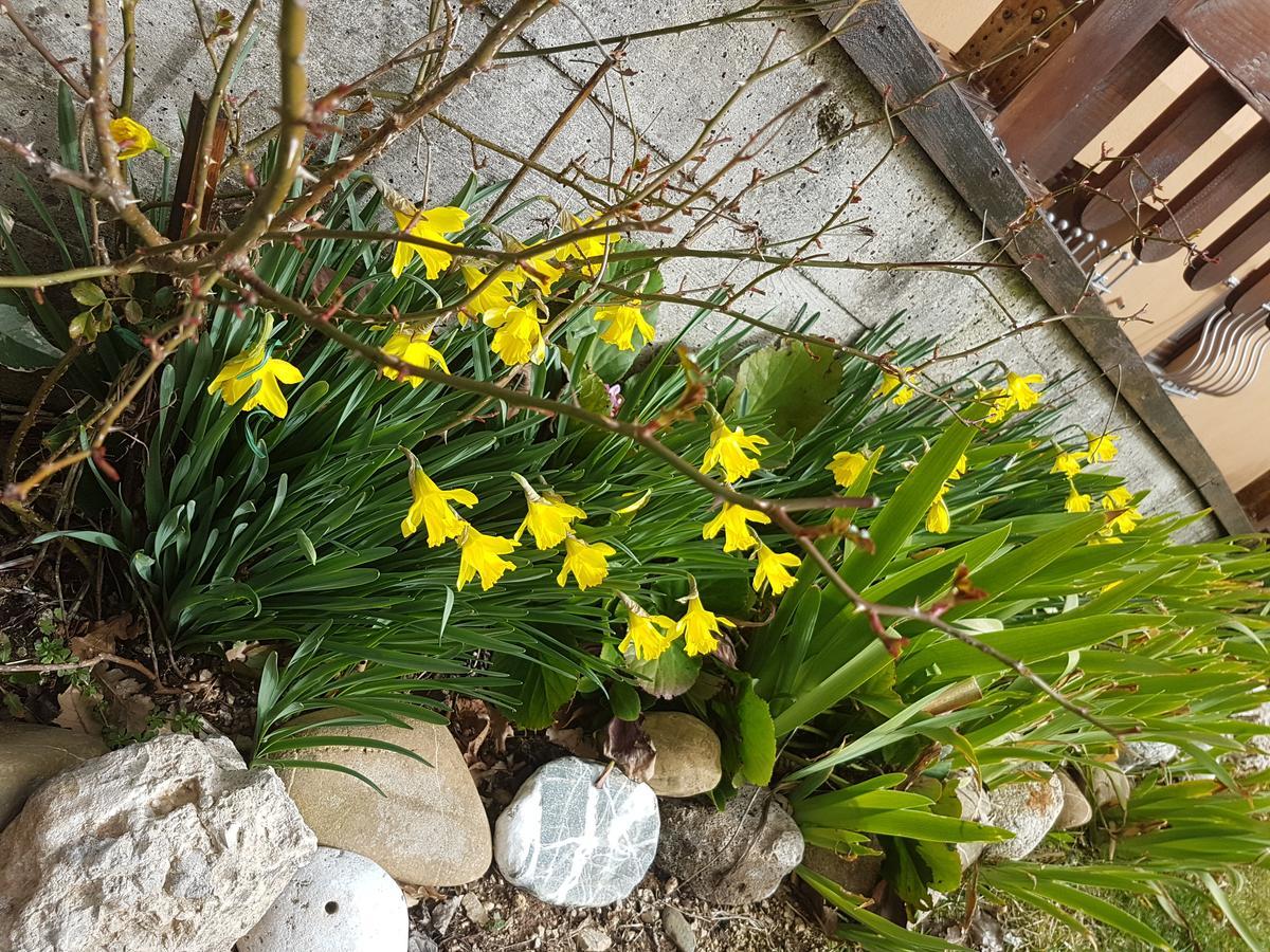 Le Chalet Del Pollino 로톤다 외부 사진