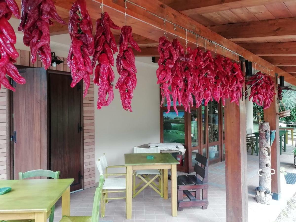 Le Chalet Del Pollino 로톤다 외부 사진